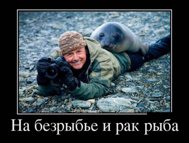 Демотиваторы (30 фото)