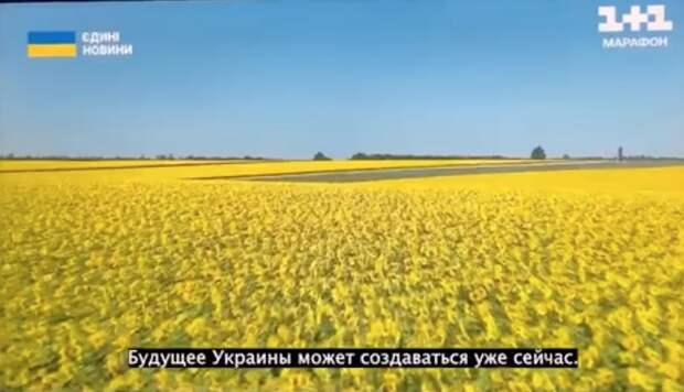 На Украине предложили мёртвыми ВСУшниками удобрять поля