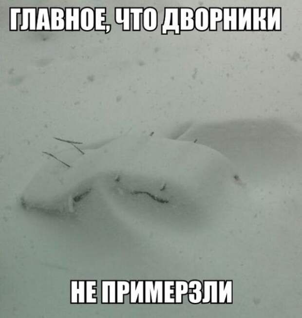 Подборка автоприколов. Часть 181 автоприколы, приколы