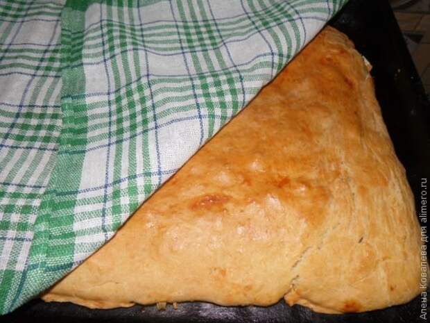 Мясной пирог Мясной пирог
