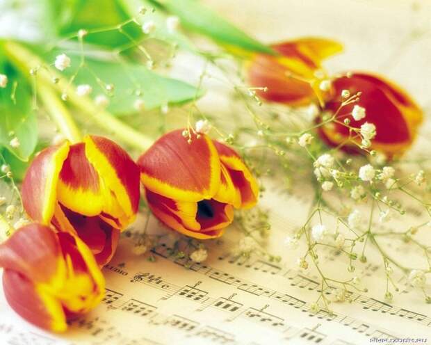 6 марта в концертном зале ДШИ пройдёт праздничный концерт "Весна идет!" . " Информационный сайт города Гусева