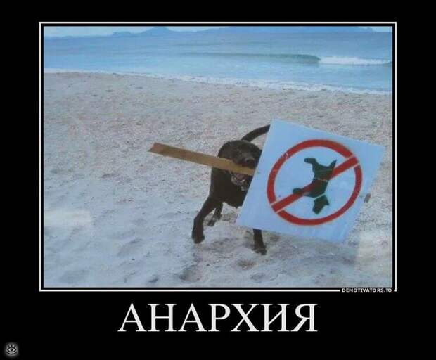 Теперь ты видел всё 12
