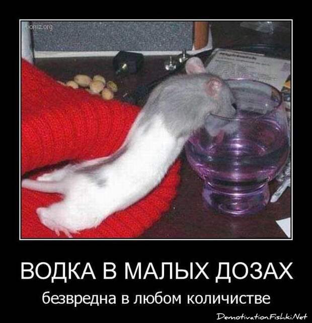 Демотиваторы. Часть 125. (89 фото)