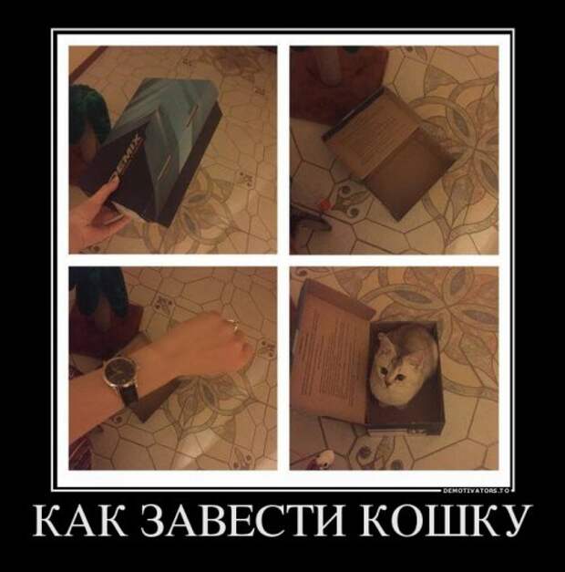 Свежие демотиваторы для всех (21 шт)