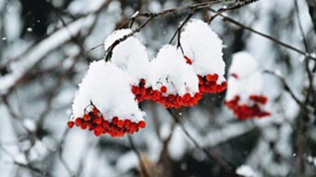 Фото: amic.ru