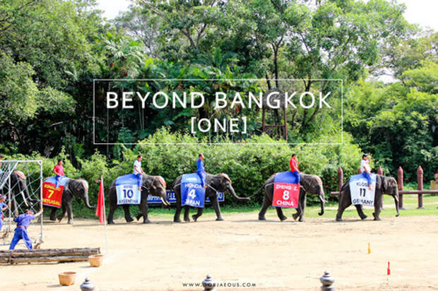 Ratchaburi Thailand Elephant Show.jpg
