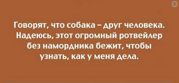 Жизненные смешные открытки 6
