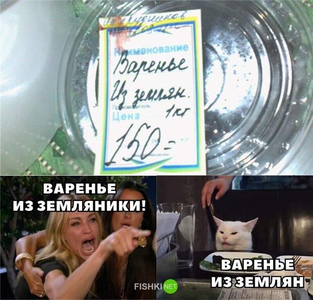 И снова всё опровергающий котик И снова всё опровергающий котик