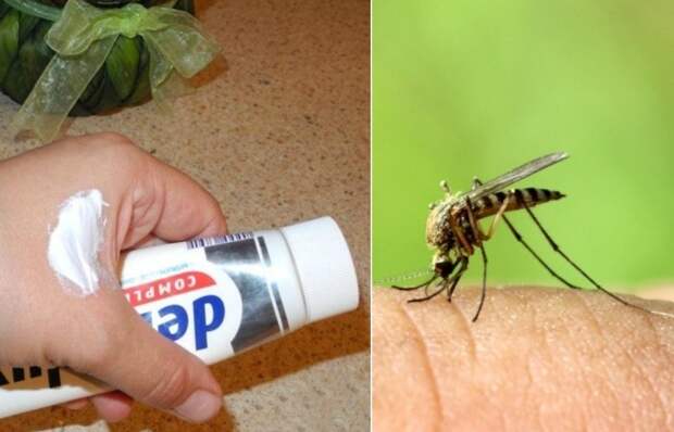 Как вылечить укус комара