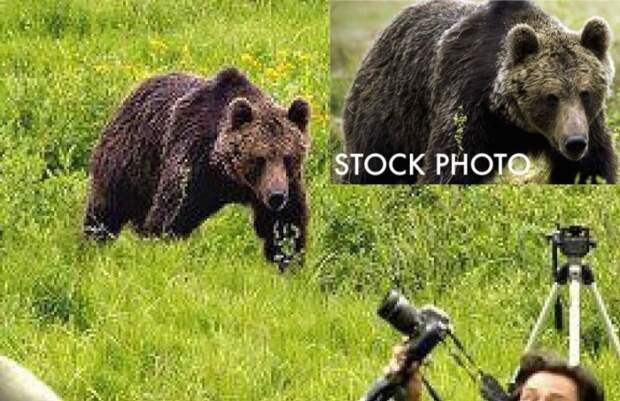 самые известные фотографии фейки 