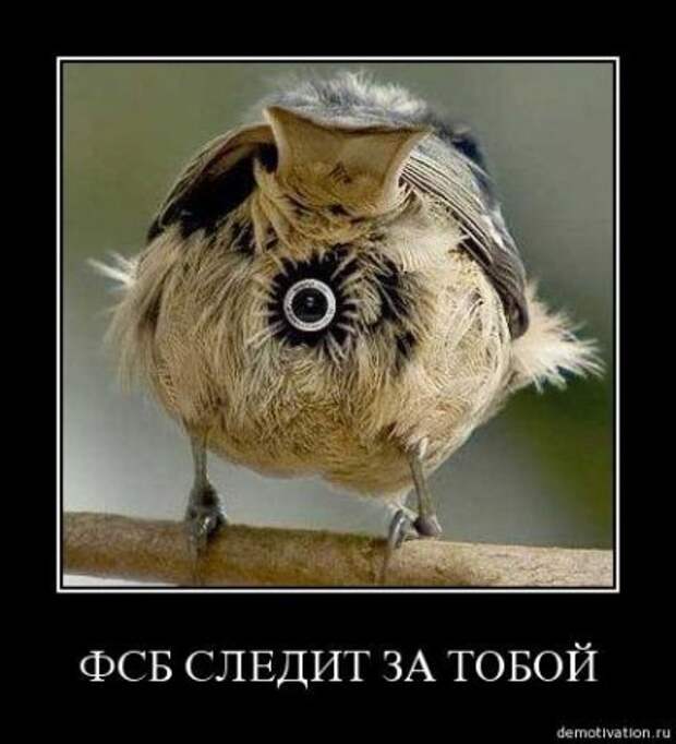 Демосы.