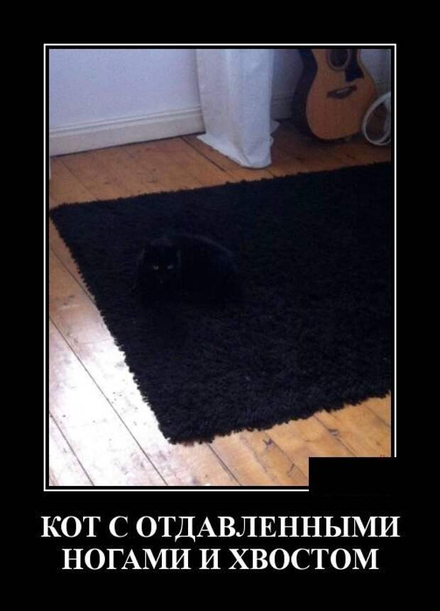 Демотиваторы Демотиваторы