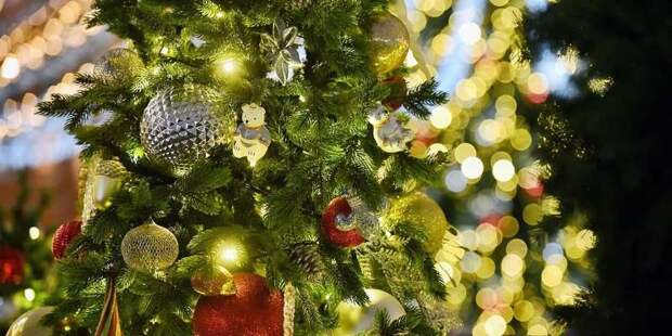 Тематические елки появились в Москве в рамках фестиваля «Путешествие в Рождество»