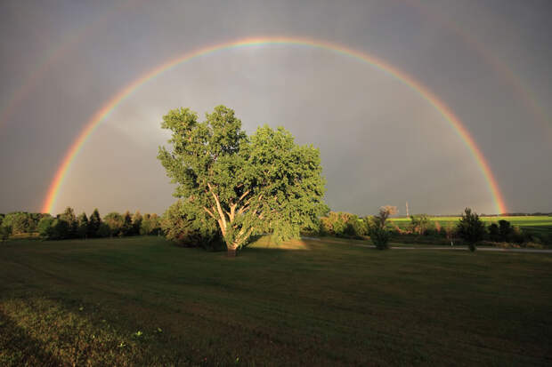 rainbows37 rainbows37 50 потрясающих фотографий двойной радуги
