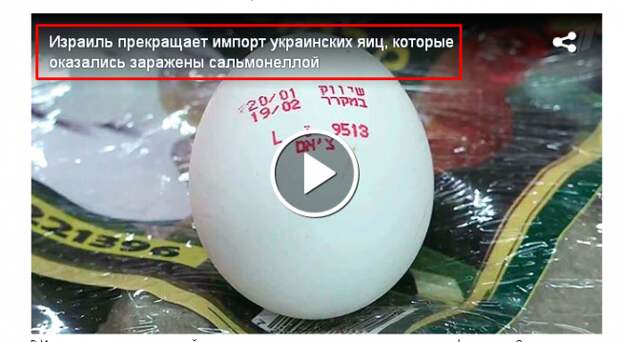 Израиль прекращает импорт украинских яиц, которые оказались заражены сальмонеллой (ВИДЕО) Израиль прекращает импорт украинских яиц, которые оказались заражены сальмонеллой (ВИДЕО)