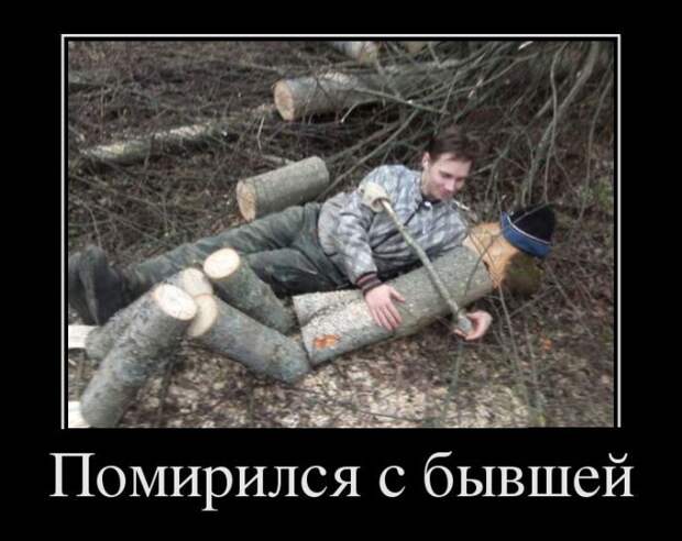 Демотиваторы бревно, демотиваторы, юмор