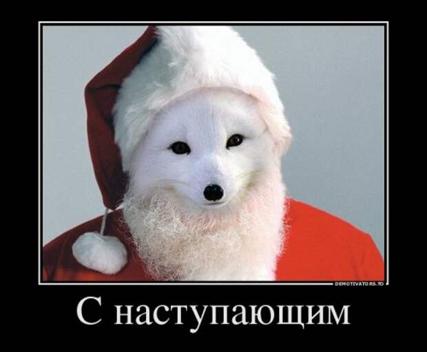 Прикольные демотиваторы для новогоднего настроения (15 шт)