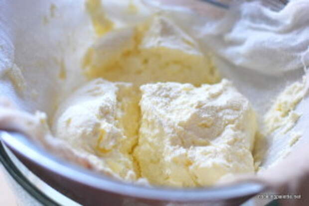 homemade cream cheese (5)