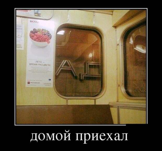 Демотиваторы демотиваторы, прикол, смех, юмор