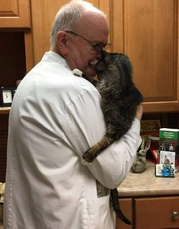 15-летний одноухий бродячий кот наконец дождался того, кто взял его к себе