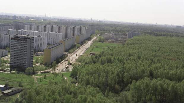 В Москве создан научно-экспертный совет по сохранению и развитию парка «Лосиный Остров»