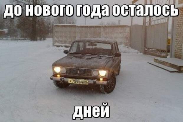 Новые автоприкольные картинки. Свеженькие приколы