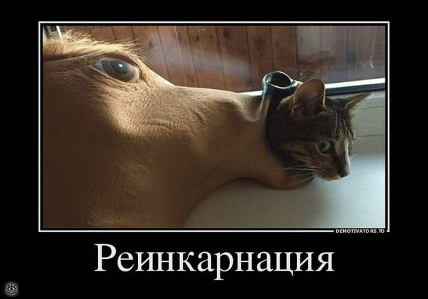 Не доверяй никому! 26