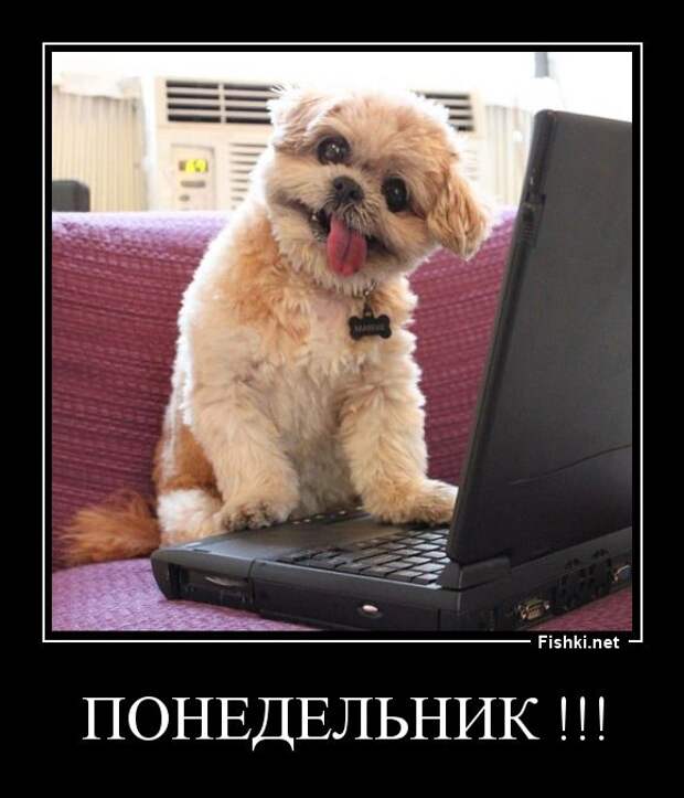 Демотиваторы демотиваторы, прикол, смех, юмор
