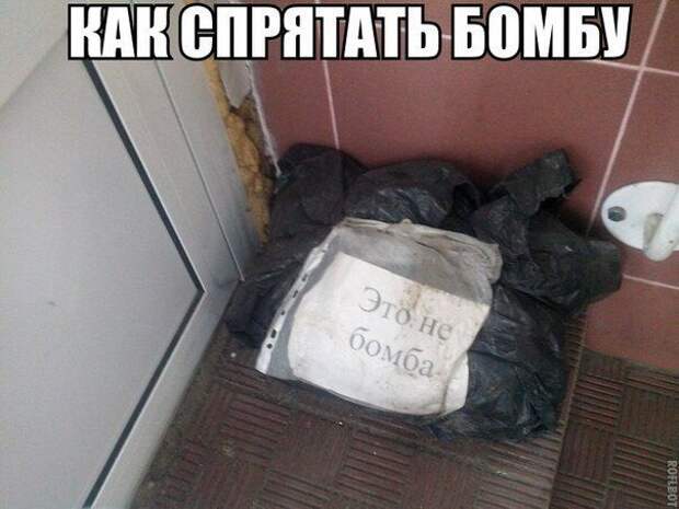 Фразы в картинках