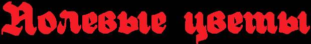 5227673_4nx7bxsozxemmwf14gf7bpjy4gdpbcsoszeafwcm (607x88, 9Kb)