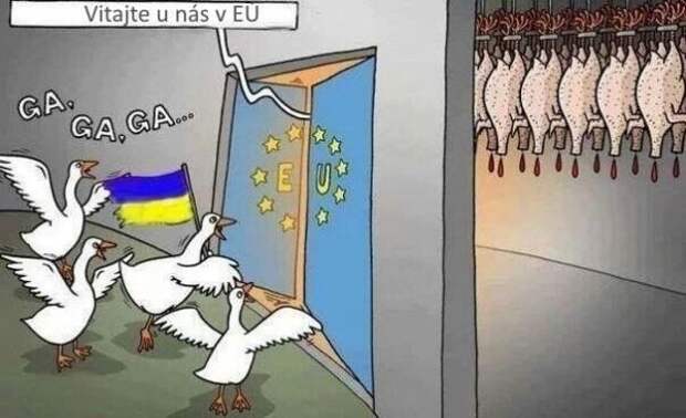 Хроники укрорАйха Или Я так не играю!