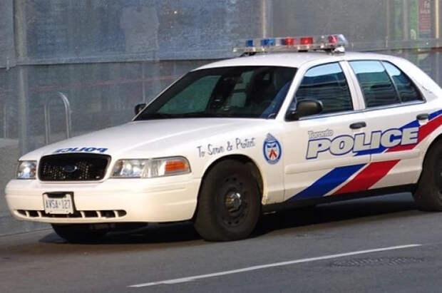 В Канаде группа в костюмах Робин Гуда обокрала супермаркет ради бедных