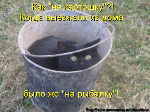Котоматрица: Как "на картошку"?! Когда выезжали из дома было же "на рыбалку"!