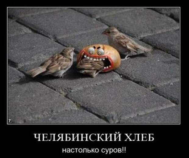 Сборник моих демотиваторов демотиватор, сборник