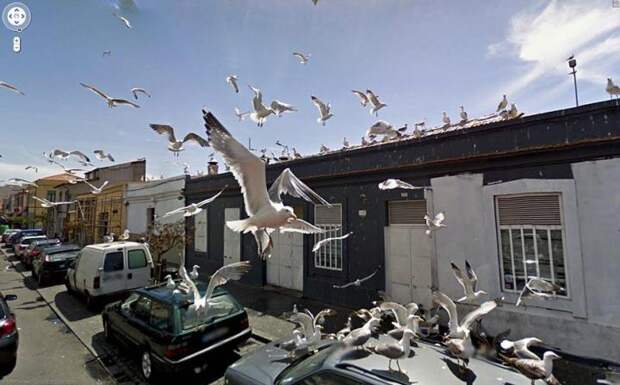 Google street view (22)