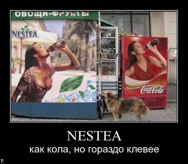 Демотиваторы (30 фото) Демотиваторы (30 фото)