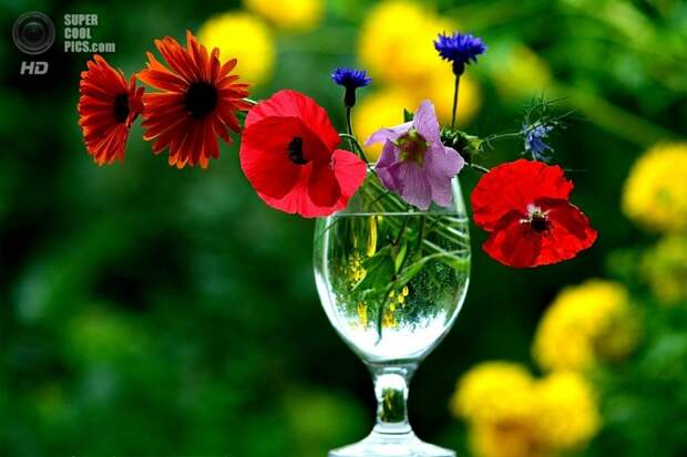 supercoolpics_16_08032014104840