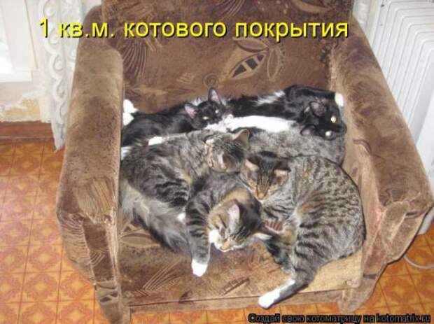 Котоматрица