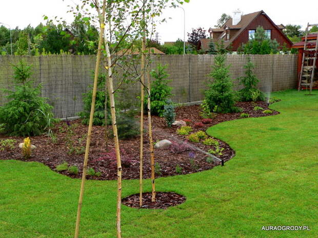 P1240597 (700x525, 228Kb)