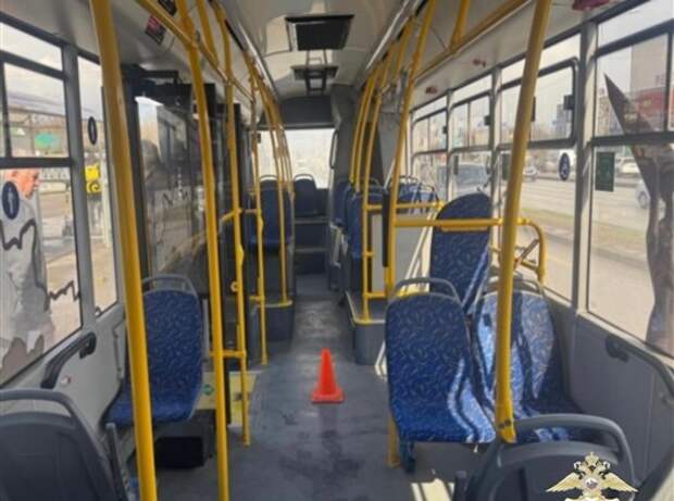 В Самаре пенсионер покалечился из-за резкого торможения автобуса