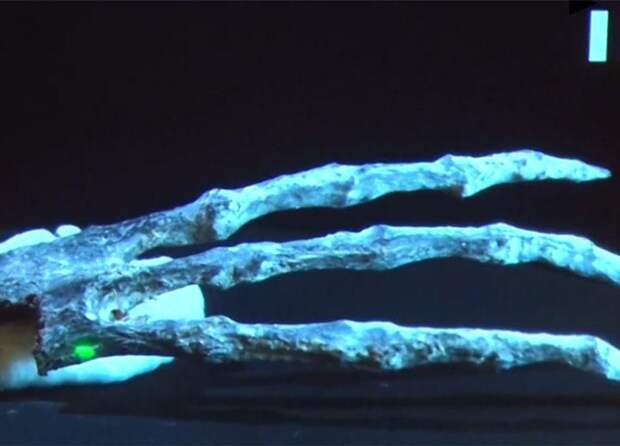 Найденные в Перу трехпалые мумии с огромными головами могут быть пришельцами