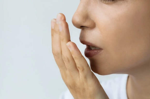 Малышева назвала четыре продукта, помогающих избавиться от запаха изо рта