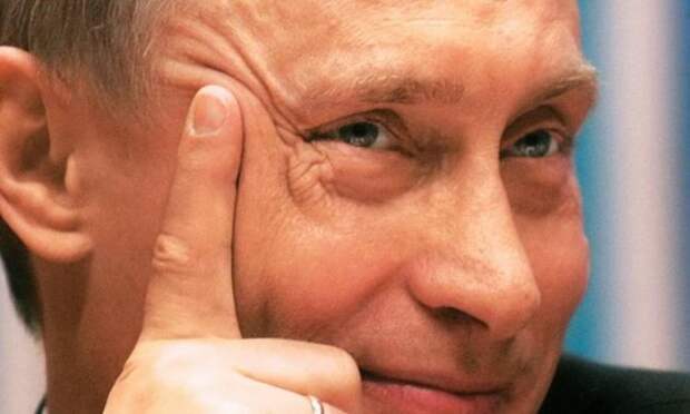 Шок. Агрессия. Истерика. Шок. Агрессия. Истерика.