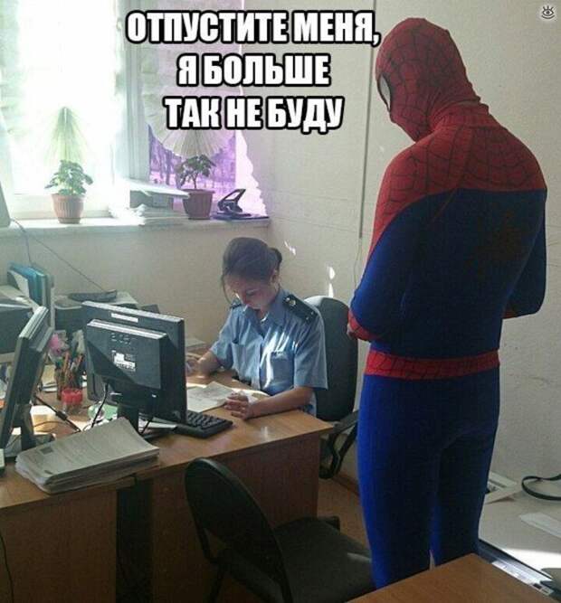 Прикольные и курьёзные картинки 18