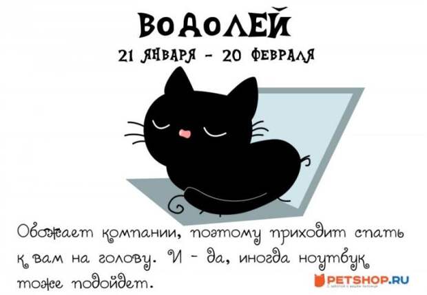 Котячий гороскоп (12 фото) Котячий гороскоп (12 фото)