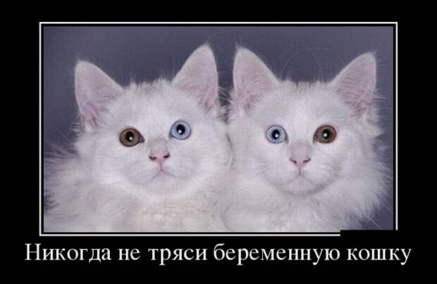 Демотиваторы демотиваторы, юмор