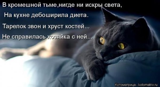 1b3133db28a8a8585ee2d622baf_prev
