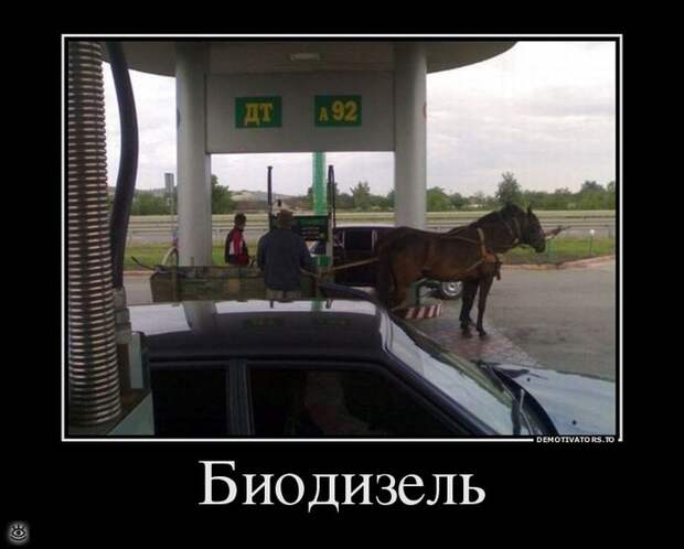 Эфемерные демотиваторы 20