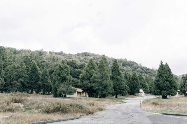Palomar Mountain State Park-18.jpg
