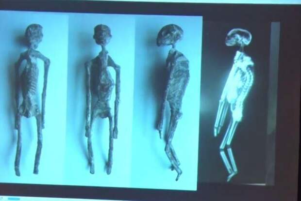 Найденные в Перу трехпалые мумии с огромными головами могут быть пришельцами
